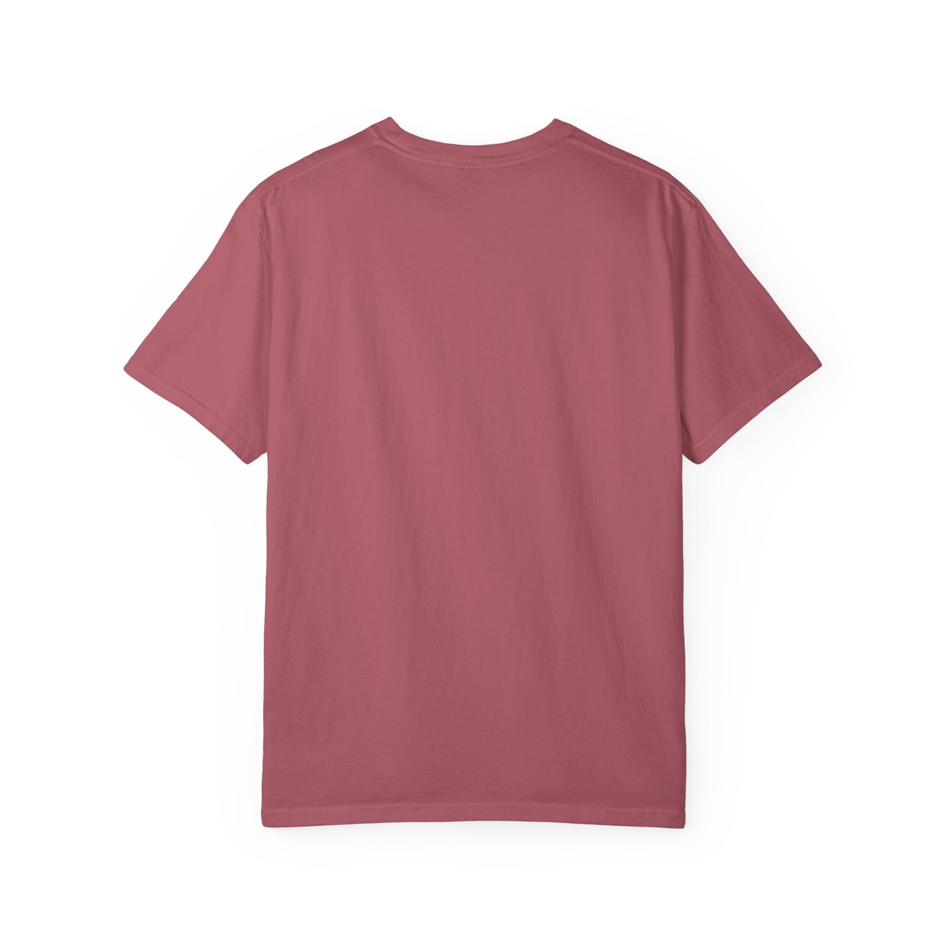 Slow Burn Book Club Comfort Colors T-Shirt - Thespicyromancebookclub LLC
