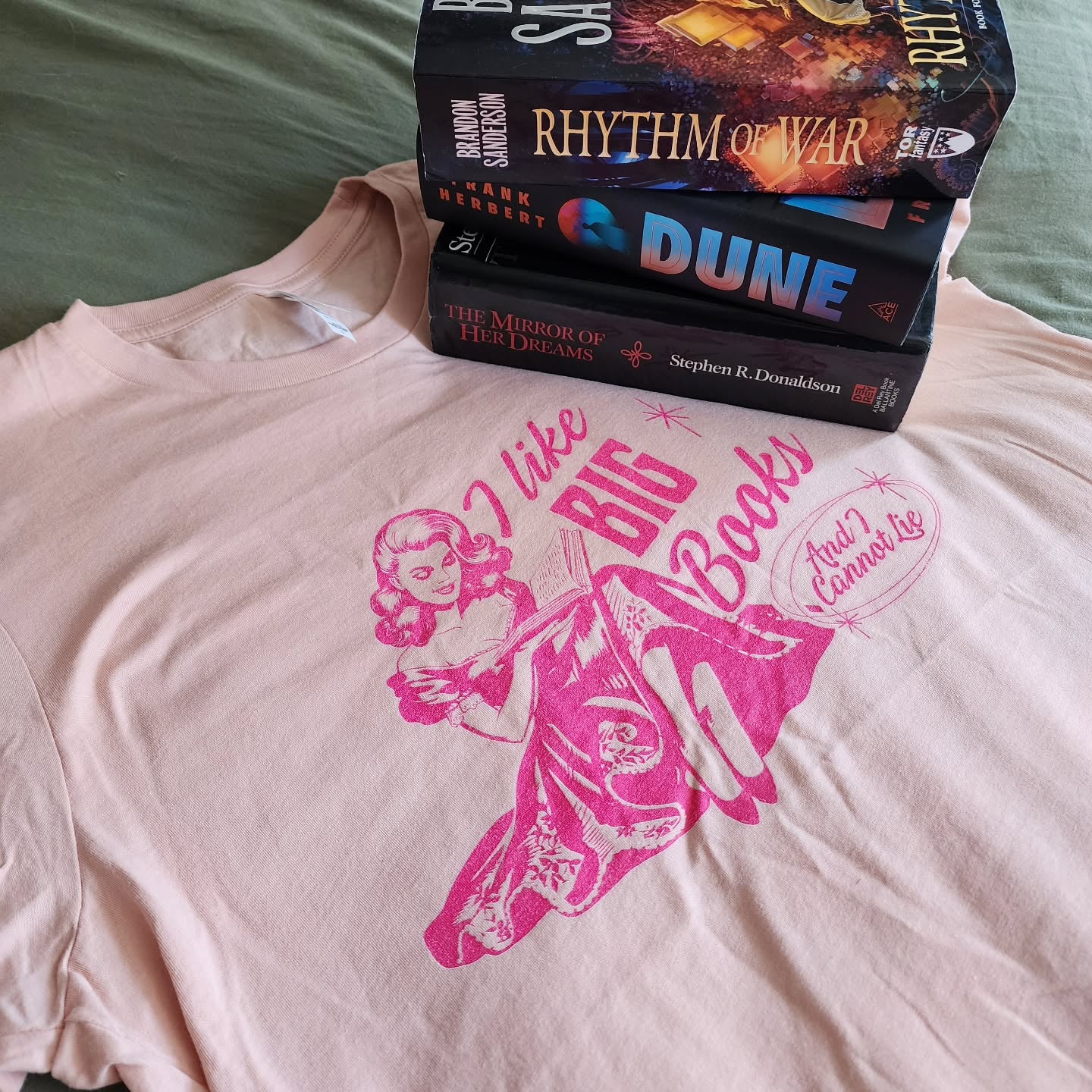 I like Big Books And I Cannot Lie T-shirt - Thespicyromancebookclub LLC